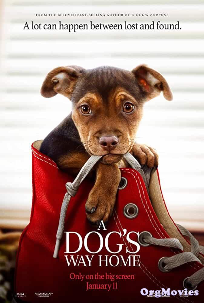 A Dogs Way Home 2019 Hindi Dubbed Full Movie