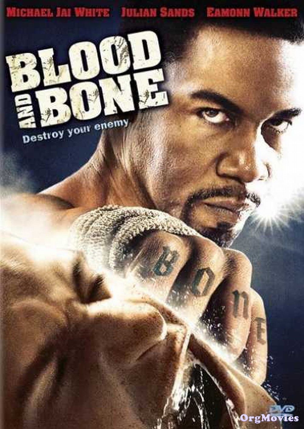 Blood and Bone 2009 Hindi Dubbed Full Movie