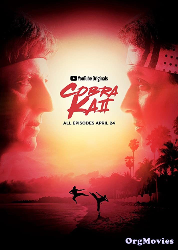 Cobra Kai 2020 S01 Complete Hindi Netflix Web Series