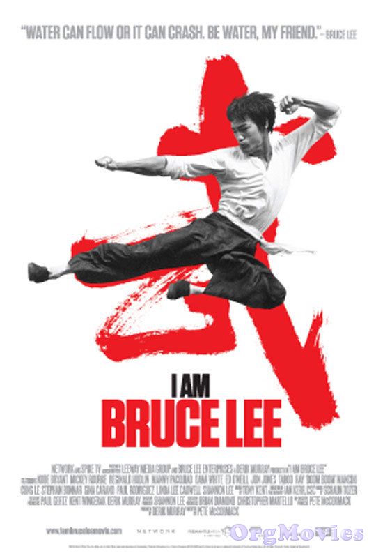 I Am Bruce Lee 2012 Hindi Dubbed BluRay