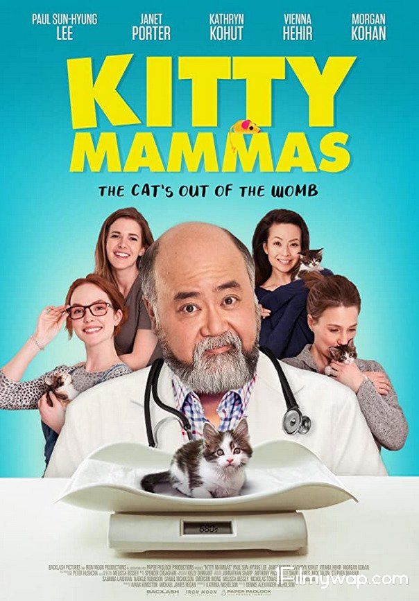 Kitty Mammas 2020 HDRip English