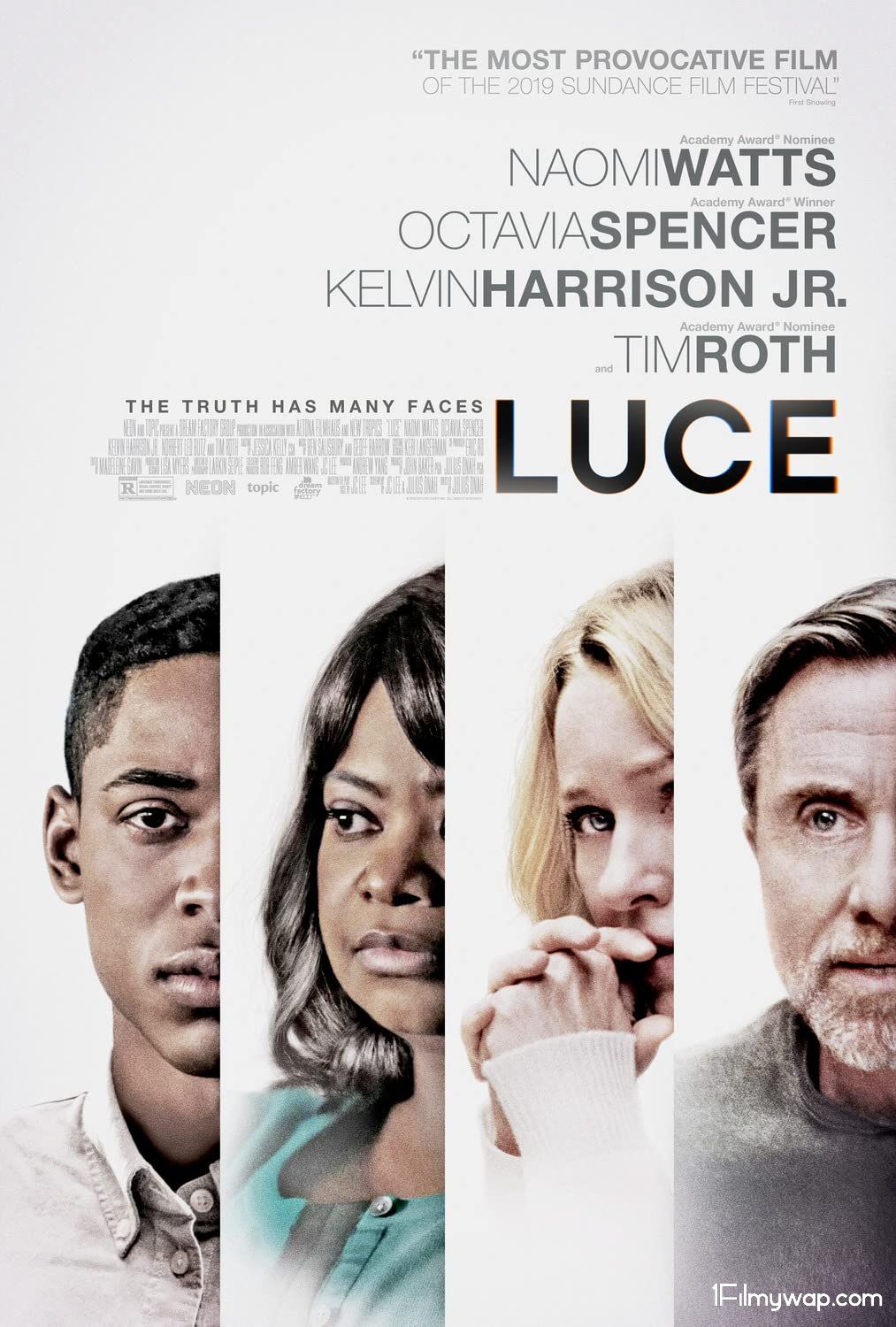 Luce (2019) Hindi Dubbed ORG BluRay