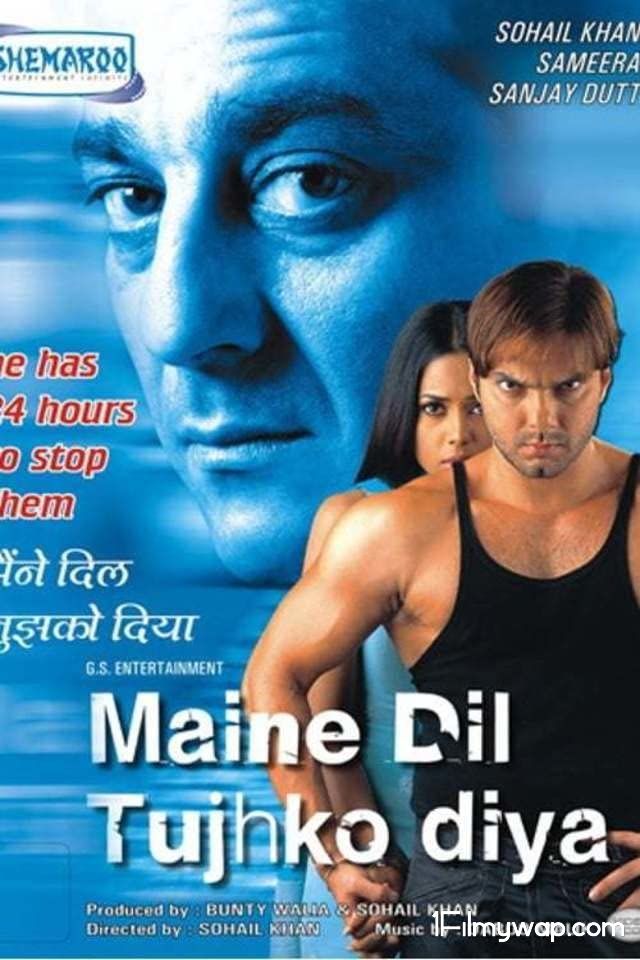 Maine Dil Tujhko Diy (2002) Hindi Full Movie