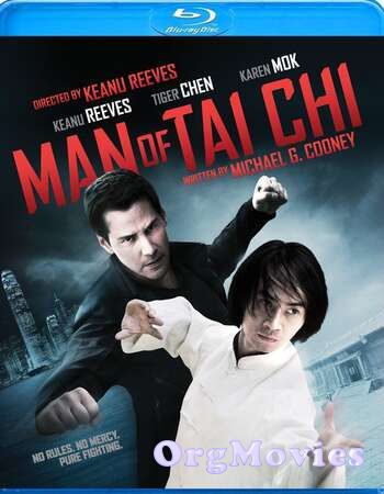 Man of Tai Chi 2013 Hindi Dubbed Movie