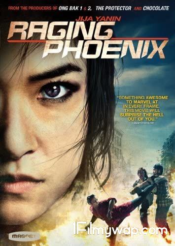 Raging Phoenix 2009 Hindi Dubbed BluRay
