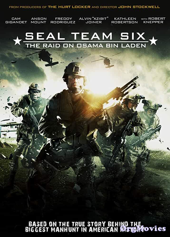 Seal Team Six - The Raid on Osama Bin Laden (2012) Hindi Dubbed Movie
