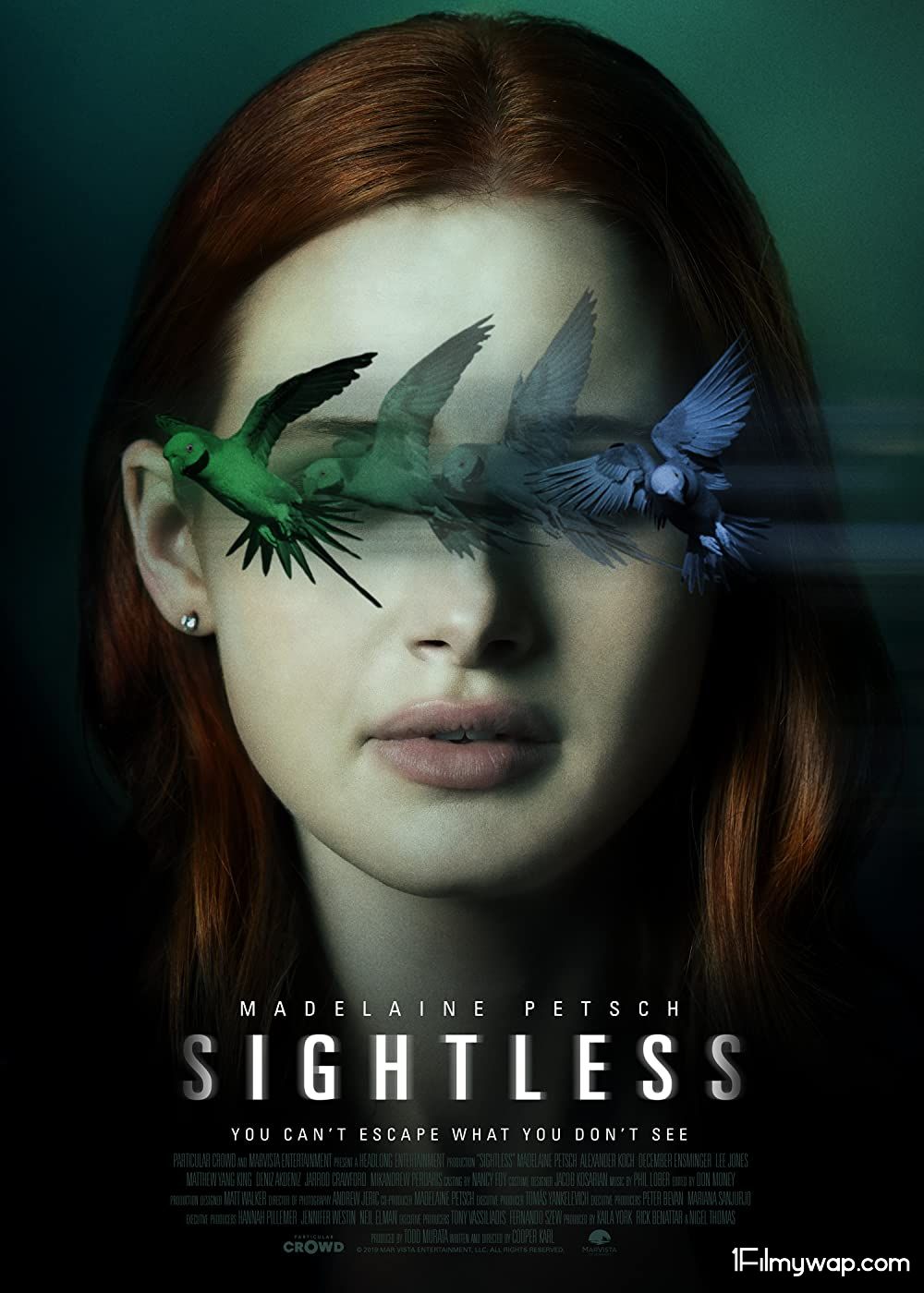 Sightless 2020 Hindi Dubbed NF HDRip