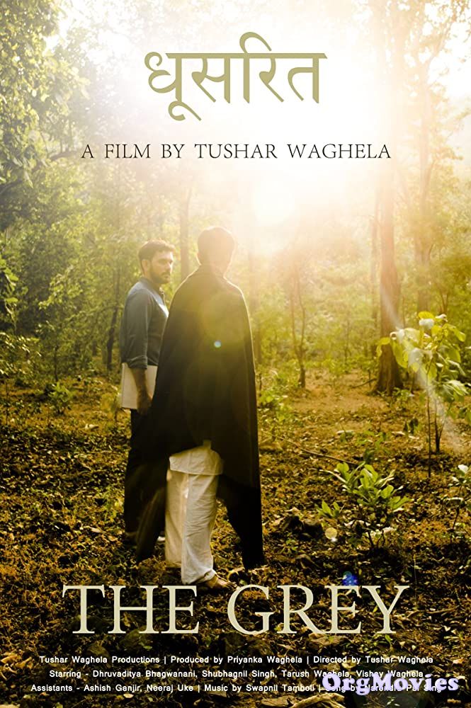 The Grey 2020 Hindi AMZN Movie