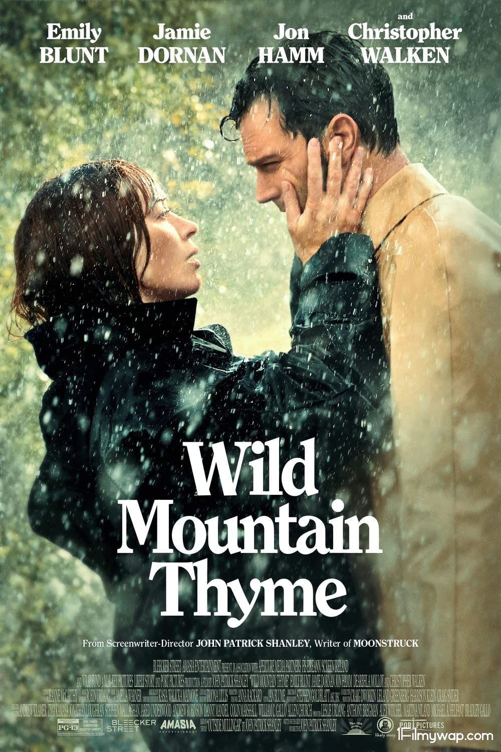 Wild Mountain Thyme 2020 HDRip English